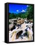 River flowing through a forest, West Branch Ausable River, Adirondack Mountains, New York State...-null-Framed Stretched Canvas