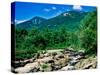 River flowing through a forest, West Branch Ausable River, Flume Falls, Adirondack Mountains, Ne...-null-Stretched Canvas