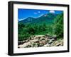 River flowing through a forest, West Branch Ausable River, Flume Falls, Adirondack Mountains, Ne...-null-Framed Photographic Print