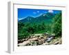 River flowing through a forest, West Branch Ausable River, Flume Falls, Adirondack Mountains, Ne...-null-Framed Photographic Print