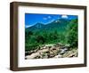 River flowing through a forest, West Branch Ausable River, Flume Falls, Adirondack Mountains, Ne...-null-Framed Photographic Print