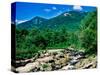 River flowing through a forest, West Branch Ausable River, Flume Falls, Adirondack Mountains, Ne...-null-Stretched Canvas