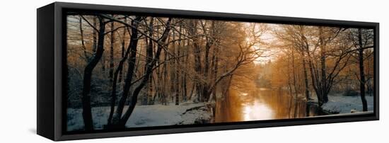 River Flowing Through a Forest-null-Framed Stretched Canvas