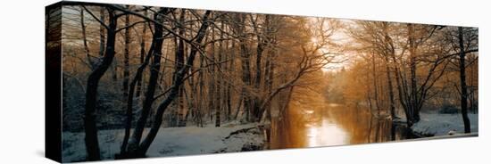 River Flowing Through a Forest-null-Stretched Canvas