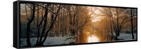 River Flowing Through a Forest-null-Framed Stretched Canvas