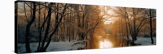 River Flowing Through a Forest-null-Stretched Canvas