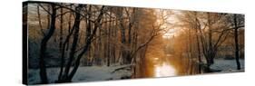 River Flowing Through a Forest-null-Stretched Canvas