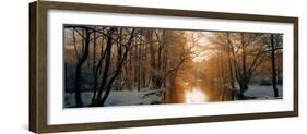 River Flowing Through a Forest-null-Framed Photographic Print