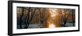 River Flowing Through a Forest-null-Framed Photographic Print