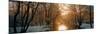 River Flowing Through a Forest-null-Mounted Photographic Print