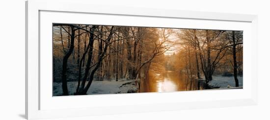 River Flowing Through a Forest-null-Framed Photographic Print