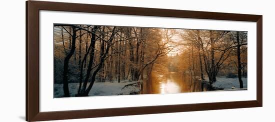 River Flowing Through a Forest-null-Framed Photographic Print