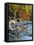River Flowing Through Forest in Autumn, North Fork, Potomac State Forest, Maryland, USA-Adam Jones-Framed Stretched Canvas