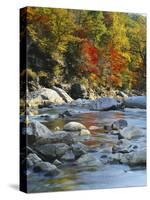 River Flowing Through Forest in Autumn, North Fork, Potomac State Forest, Maryland, USA-Adam Jones-Stretched Canvas