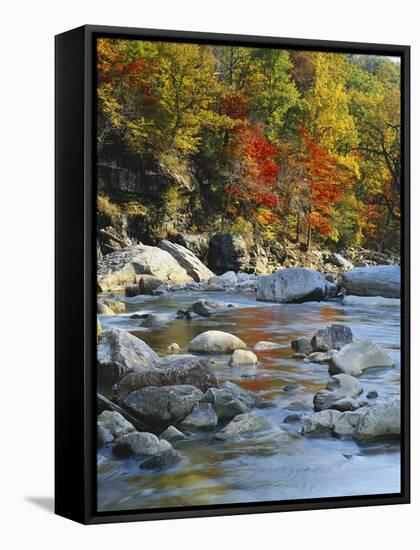 River Flowing Through Forest in Autumn, North Fork, Potomac State Forest, Maryland, USA-Adam Jones-Framed Stretched Canvas