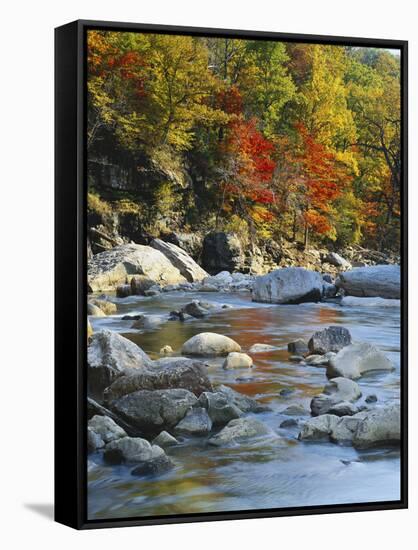 River Flowing Through Forest in Autumn, North Fork, Potomac State Forest, Maryland, USA-Adam Jones-Framed Stretched Canvas