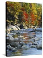 River Flowing Through Forest in Autumn, North Fork, Potomac State Forest, Maryland, USA-Adam Jones-Stretched Canvas