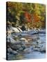 River Flowing Through Forest in Autumn, North Fork, Potomac State Forest, Maryland, USA-Adam Jones-Stretched Canvas