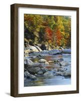 River Flowing Through Forest in Autumn, North Fork, Potomac State Forest, Maryland, USA-Adam Jones-Framed Photographic Print