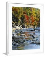 River Flowing Through Forest in Autumn, North Fork, Potomac State Forest, Maryland, USA-Adam Jones-Framed Photographic Print