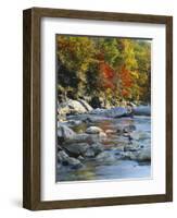 River Flowing Through Forest in Autumn, North Fork, Potomac State Forest, Maryland, USA-Adam Jones-Framed Photographic Print