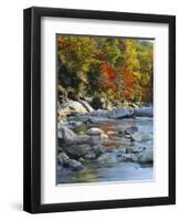 River Flowing Through Forest in Autumn, North Fork, Potomac State Forest, Maryland, USA-Adam Jones-Framed Photographic Print