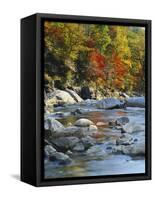 River Flowing Through Forest in Autumn, North Fork, Potomac State Forest, Maryland, USA-Adam Jones-Framed Stretched Canvas