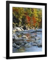 River Flowing Through Forest in Autumn, North Fork, Potomac State Forest, Maryland, USA-Adam Jones-Framed Premium Photographic Print