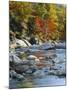 River Flowing Through Forest in Autumn, North Fork, Potomac State Forest, Maryland, USA-Adam Jones-Mounted Premium Photographic Print