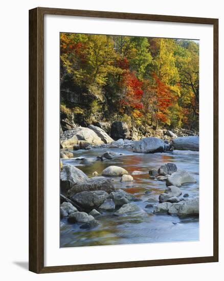 River Flowing Through Forest in Autumn, North Fork, Potomac State Forest, Maryland, USA-Adam Jones-Framed Premium Photographic Print