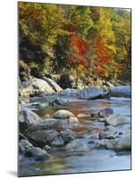 River Flowing Through Forest in Autumn, North Fork, Potomac State Forest, Maryland, USA-Adam Jones-Mounted Premium Photographic Print