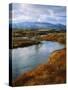 River Flowing Through Landscape, Bear River, Bannock Range, Cache Valley, Great Basin, Idaho-Scott T^ Smith-Stretched Canvas