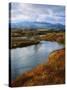 River Flowing Through Landscape, Bear River, Bannock Range, Cache Valley, Great Basin, Idaho-Scott T^ Smith-Stretched Canvas