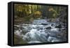 River flowing through Maligne Canyon with autumn foliage, Jasper National Park, UNESCO World Herita-Jon Reaves-Framed Stretched Canvas