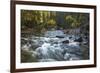 River flowing through Maligne Canyon with autumn foliage, Jasper National Park, UNESCO World Herita-Jon Reaves-Framed Photographic Print