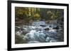 River flowing through Maligne Canyon with autumn foliage, Jasper National Park, UNESCO World Herita-Jon Reaves-Framed Photographic Print