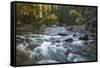 River flowing through Maligne Canyon with autumn foliage, Jasper National Park, UNESCO World Herita-Jon Reaves-Framed Stretched Canvas