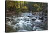 River flowing through Maligne Canyon with autumn foliage, Jasper National Park, UNESCO World Herita-Jon Reaves-Stretched Canvas