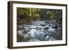 River flowing through Maligne Canyon with autumn foliage, Jasper National Park, UNESCO World Herita-Jon Reaves-Framed Photographic Print