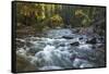 River flowing through Maligne Canyon with autumn foliage, Jasper National Park, UNESCO World Herita-Jon Reaves-Framed Stretched Canvas