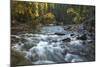 River flowing through Maligne Canyon with autumn foliage, Jasper National Park, UNESCO World Herita-Jon Reaves-Mounted Photographic Print