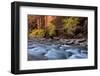 River flowing through rocks, Zion National Park, Utah, USA-null-Framed Photographic Print