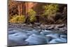 River flowing through rocks, Zion National Park, Utah, USA-null-Mounted Photographic Print