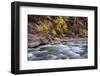 River flowing through rocks, Zion National Park, Utah, USA-null-Framed Photographic Print