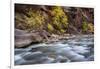 River flowing through rocks, Zion National Park, Utah, USA-null-Framed Photographic Print