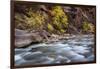 River flowing through rocks, Zion National Park, Utah, USA-null-Framed Photographic Print