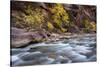 River flowing through rocks, Zion National Park, Utah, USA-null-Stretched Canvas