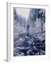 River flowing through snow covered forest, North Santiam River, Willamette National Forest, Lane...-null-Framed Photographic Print