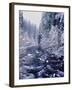 River flowing through snow covered forest, North Santiam River, Willamette National Forest, Lane...-null-Framed Photographic Print