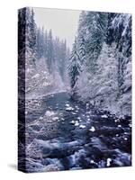 River flowing through snow covered forest, North Santiam River, Willamette National Forest, Lane...-null-Stretched Canvas